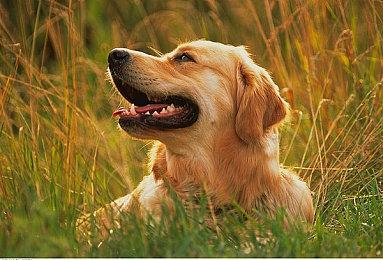 人类一败涂地迎来5周年和3000万份销量！同时惊喜公布新关卡