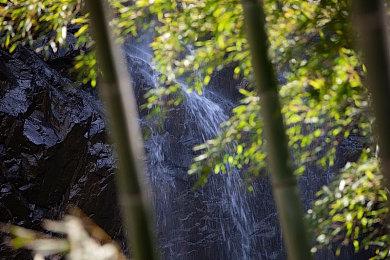 《坦克世界》DLC“轻量级战士” Steam平台限时免费领取