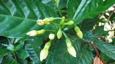 《恸哭奇机》Demo宣传片 10月25日发售